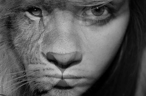 signe lion mauvais caractere