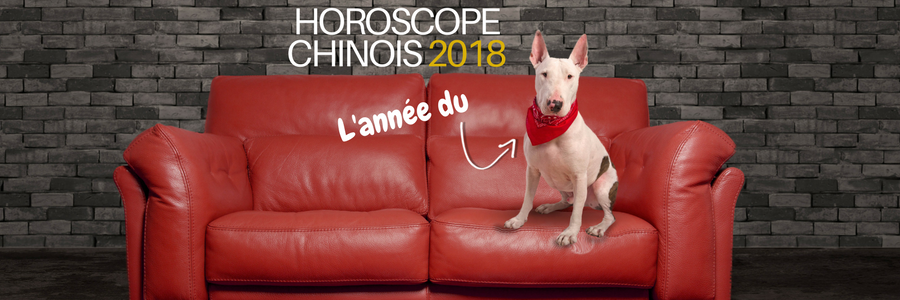 horoscope chinois 2018