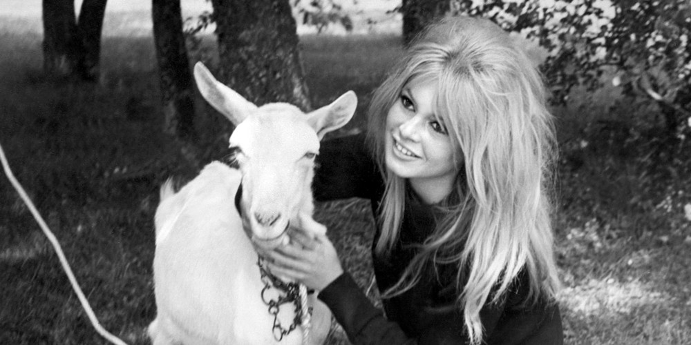 brigitte bardot