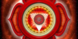 Signification premier chakra : Chakra racine ou Muladhara