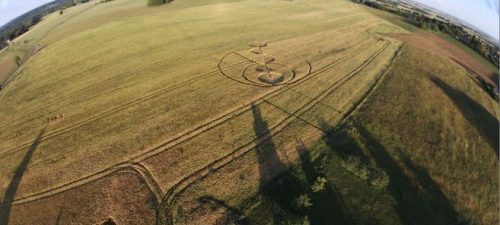 crop circle 2019