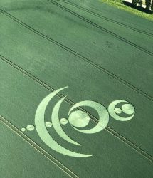 crop circle 2019 france