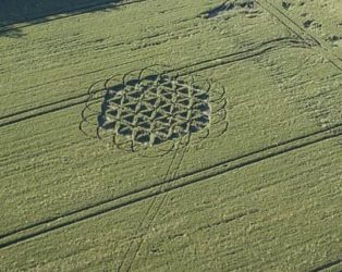 crop circle fleur de vie