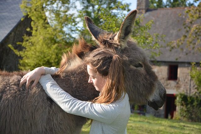 communication animale medium