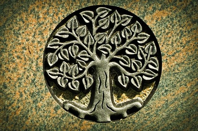 signification arbre de vie