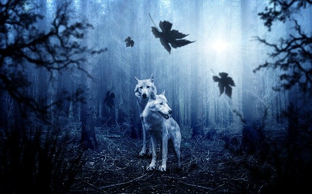 symbolisme loup