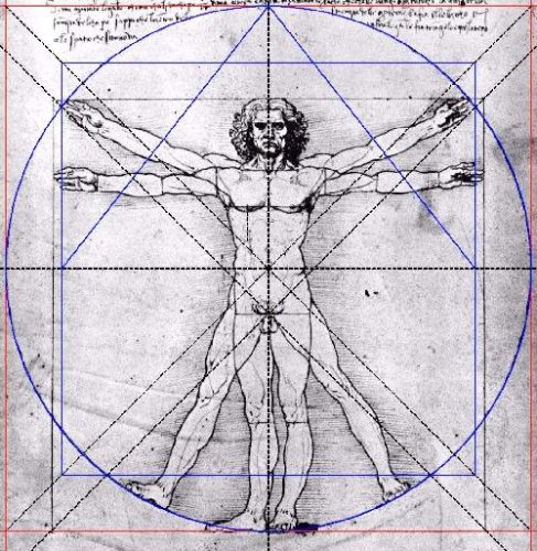 Homme de Vitruve fibonacci