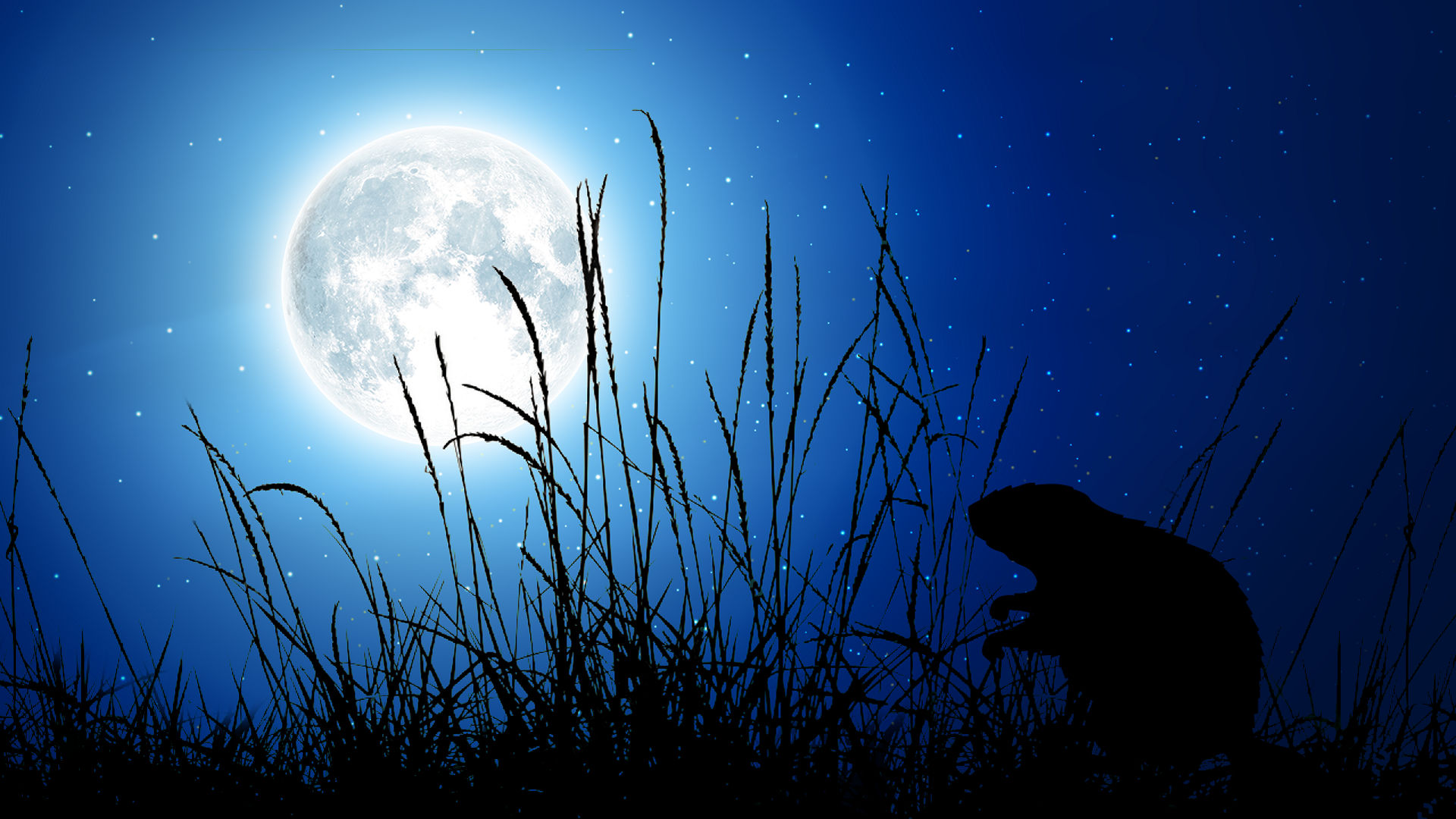 Quand est la pleine lune en novembre 2022 ? Signification spirituelle