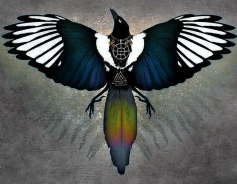 Voir ou entendre une Pie symbolique et signification spirituelle