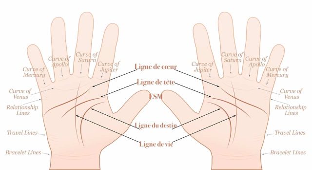 Comment lire les lignes de la main