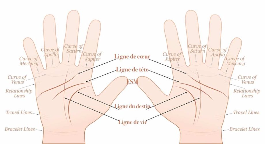 Comment lire les lignes de la main interprétation et signification — free download