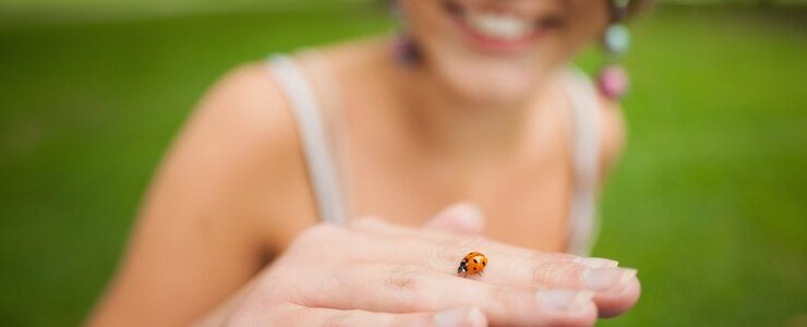 porte-bonheur coccinelle
