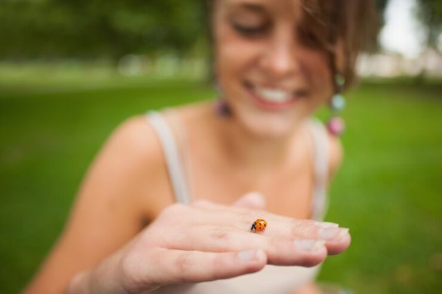 porte-bonheur-coccinelle