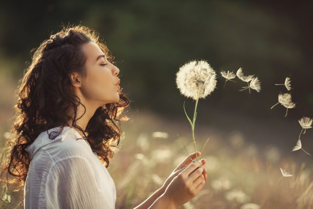 porte-bonheur-dandelion