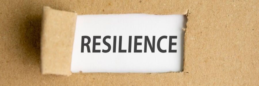 resilience-definition