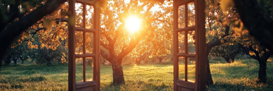 Portail énergétique de septembre : guide complet pour comprendre et utiliser ses énergies